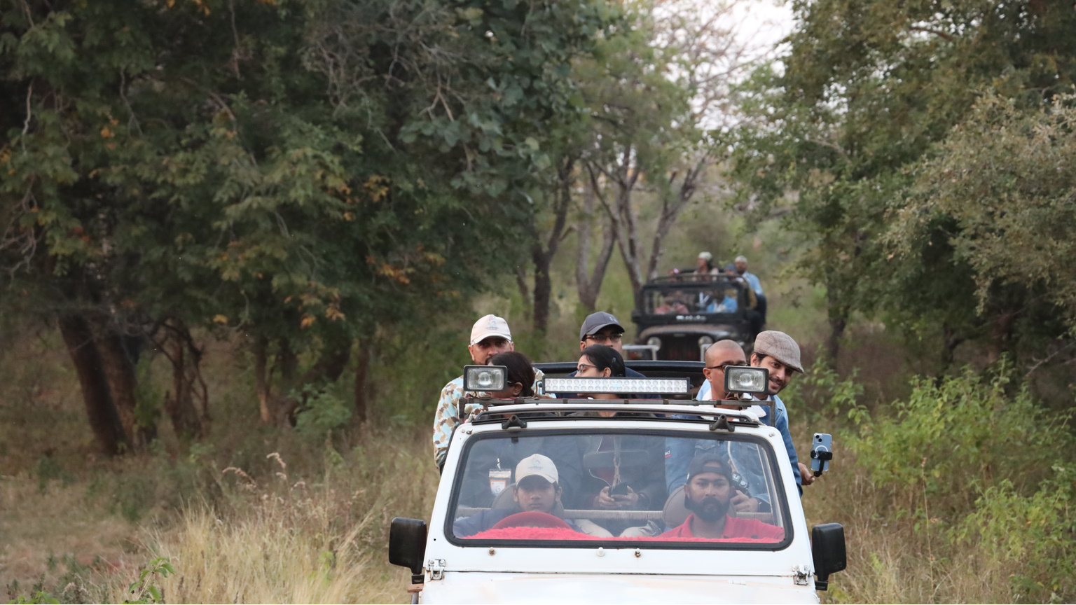 kuno Jungle Safari