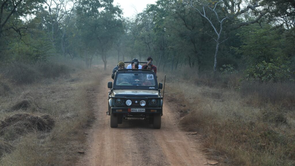Kuno-Safari